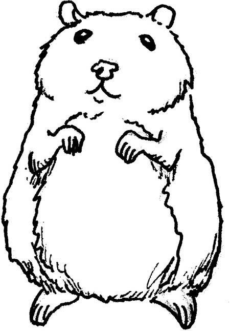 Иллюстрация к книге — Wow, anus! Неожиданные откровения о том самом месте [i_036.jpg]