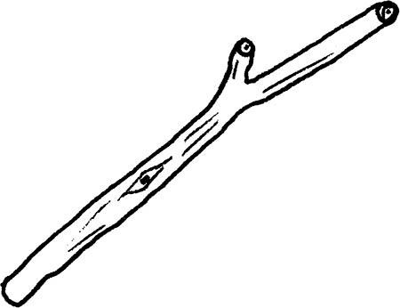 Иллюстрация к книге — Wow, anus! Неожиданные откровения о том самом месте [i_037.jpg]