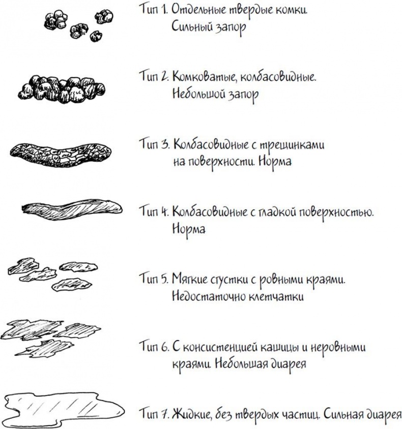 Иллюстрация к книге — Wow, anus! Неожиданные откровения о том самом месте [i_054.jpg]