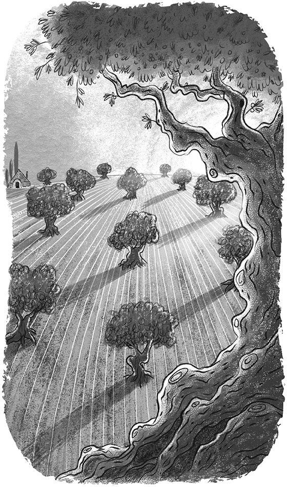 Иллюстрация к книге — Великий побег [i_009.jpg]