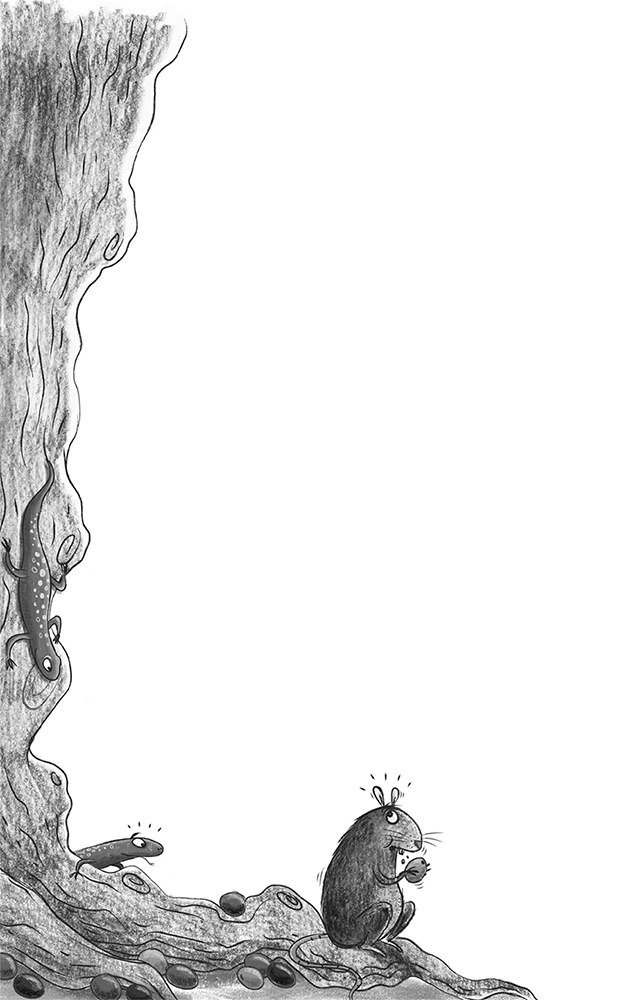 Иллюстрация к книге — Великий побег [i_010.jpg]