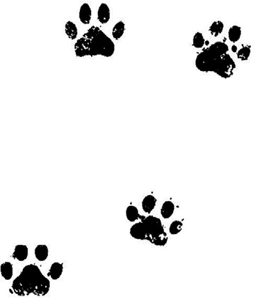 Иллюстрация к книге — Великий побег [i_053.jpg]