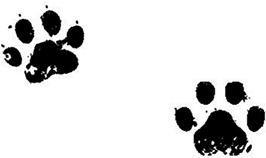 Иллюстрация к книге — Великий побег [i_078.jpg]