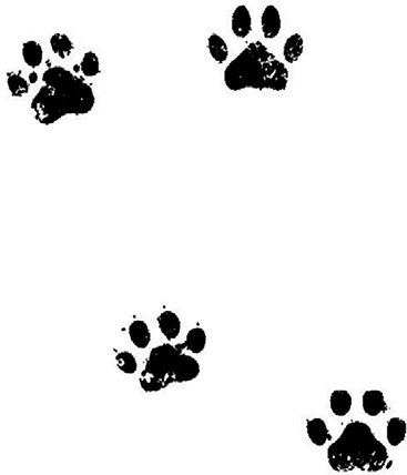 Иллюстрация к книге — Великий побег [i_079.jpg]