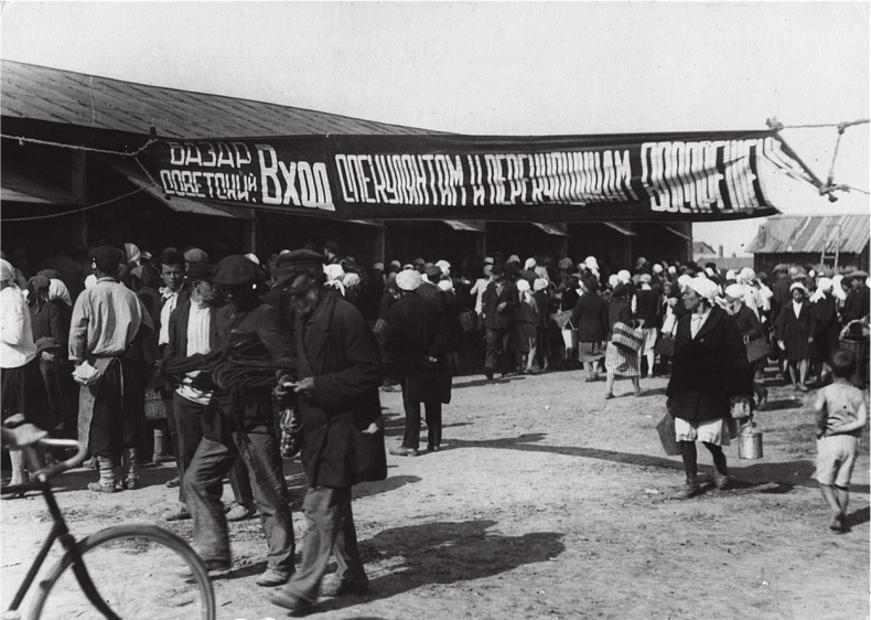 Иллюстрация к книге — Алхимия советской индустриализации. Время Торгсина [b00000944.jpg]