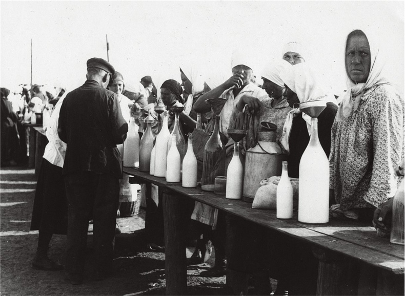 Иллюстрация к книге — Алхимия советской индустриализации. Время Торгсина [b00000947.jpg]