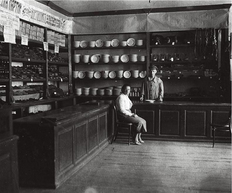 Иллюстрация к книге — Алхимия советской индустриализации. Время Торгсина [b00000991.jpg]