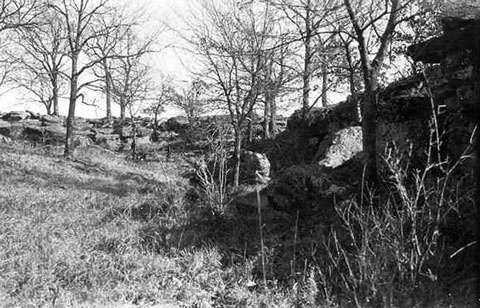 Иллюстрация к книге — Убийцы цветочной луны. Нефть. Деньги. Кровь [i_004.jpg]