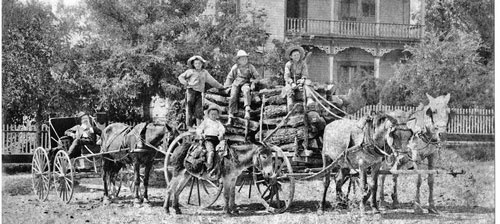 Иллюстрация к книге — Убийцы цветочной луны. Нефть. Деньги. Кровь [i_037.jpg]