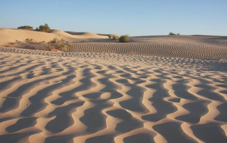 Иллюстрация к книге — Что такое Африка [i_009.jpg]