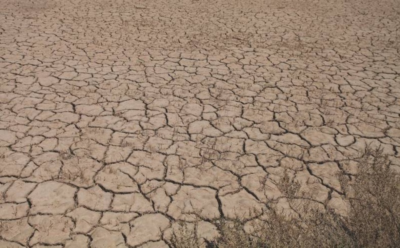 Иллюстрация к книге — Что такое Африка [i_013.jpg]