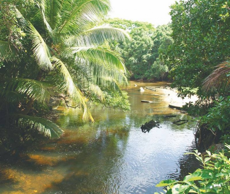 Иллюстрация к книге — Что такое Африка [i_018.jpg]