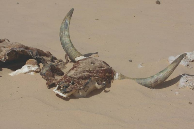 Иллюстрация к книге — Что такое Африка [i_020.jpg]