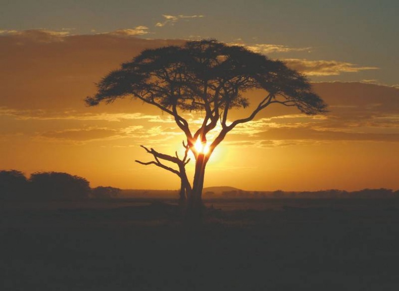 Иллюстрация к книге — Что такое Африка [i_021.jpg]