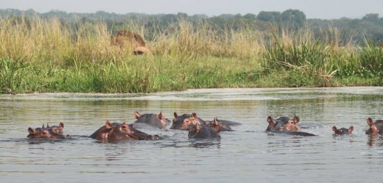 Иллюстрация к книге — Что такое Африка [i_029.jpg]