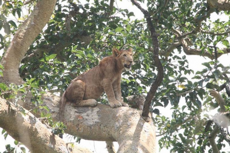 Иллюстрация к книге — Что такое Африка [i_041.jpg]