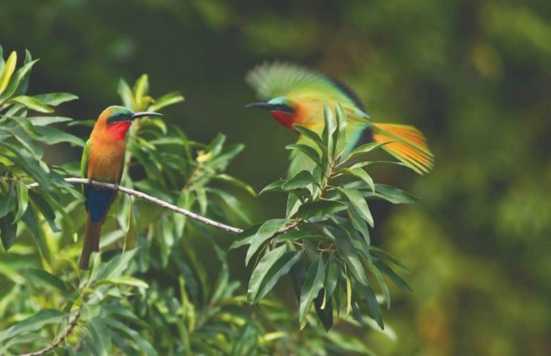 Иллюстрация к книге — Что такое Африка [i_053.jpg]