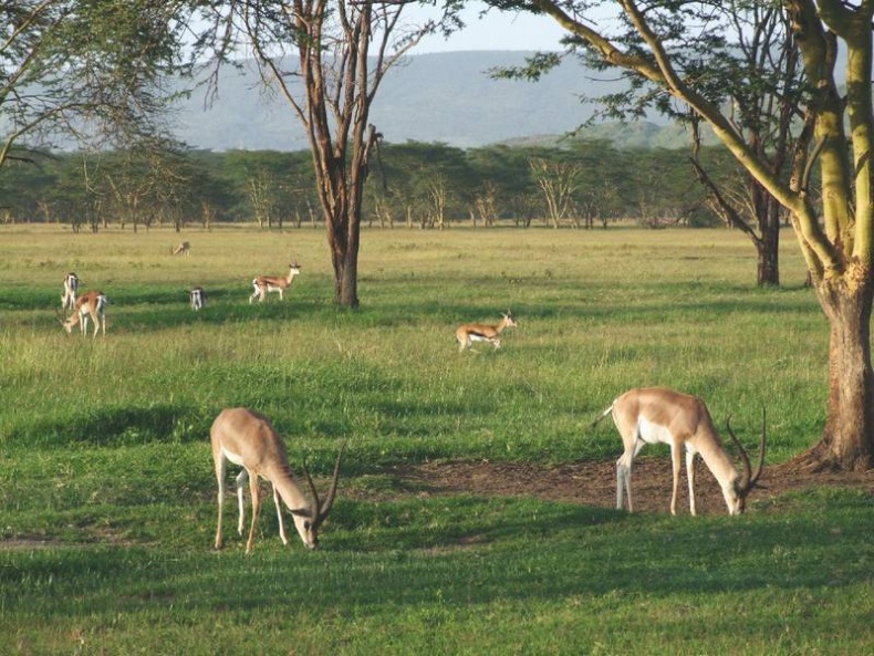 Иллюстрация к книге — Что такое Африка [i_065.jpg]
