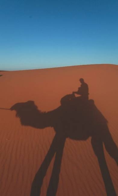 Иллюстрация к книге — Что такое Африка [i_078.jpg]