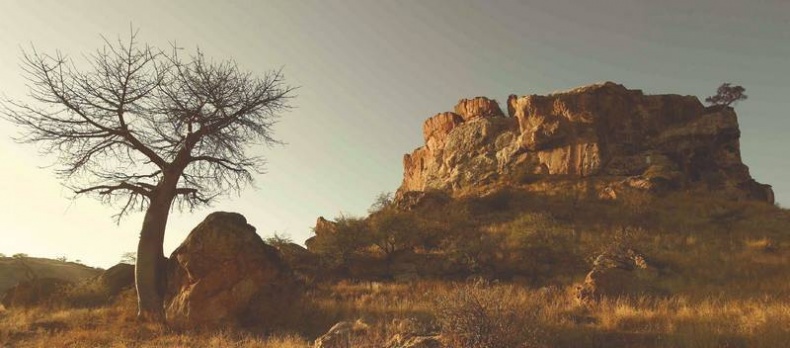 Иллюстрация к книге — Что такое Африка [i_095.jpg]