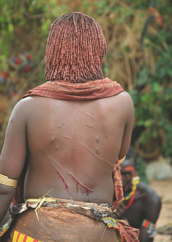 Иллюстрация к книге — Что такое Африка [i_199.jpg]