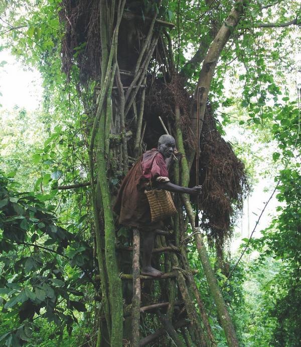 Иллюстрация к книге — Что такое Африка [i_202.jpg]