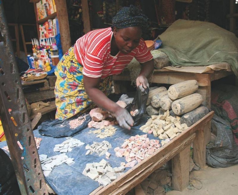 Иллюстрация к книге — Что такое Африка [i_214.jpg]