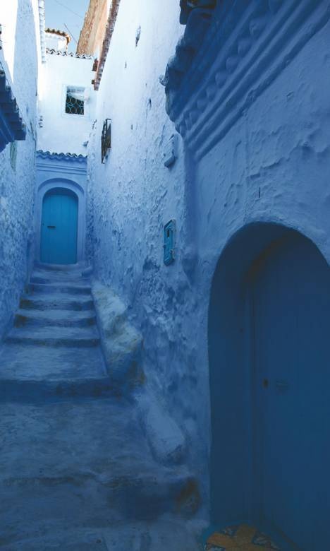 Иллюстрация к книге — Что такое Африка [i_251.jpg]