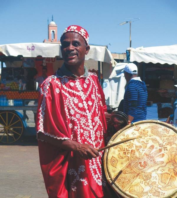 Иллюстрация к книге — Что такое Африка [i_264.jpg]