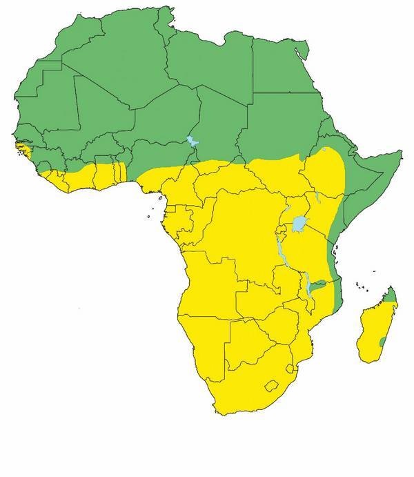 Иллюстрация к книге — Что такое Африка [i_272.jpg]