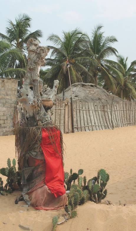 Иллюстрация к книге — Что такое Африка [i_290.jpg]