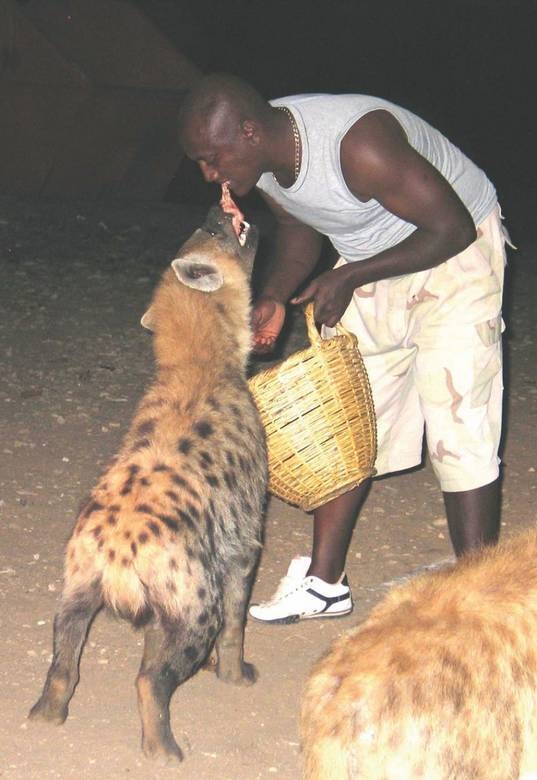 Иллюстрация к книге — Что такое Африка [i_294.jpg]