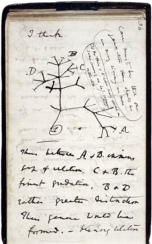 Иллюстрация к книге — История человечества в великих документах  [i_098.jpg]