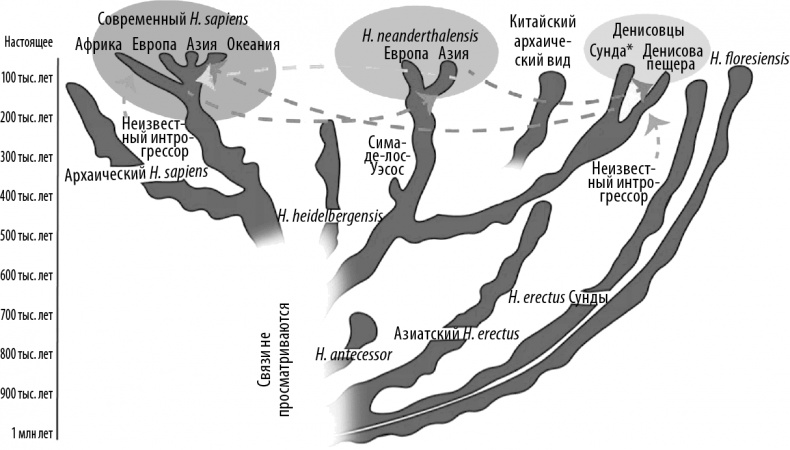 Иллюстрация к книге — Краткая история всех, кто когда-либо жил. История человечества, рассказанная через наши гены [i_001.jpg]