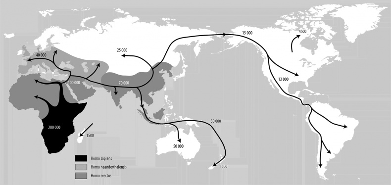 Иллюстрация к книге — Краткая история всех, кто когда-либо жил. История человечества, рассказанная через наши гены [i_002.jpg]