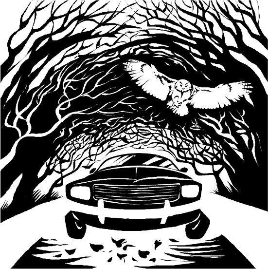 Иллюстрация к книге — Призрак на чердаке  [i_003.jpg]