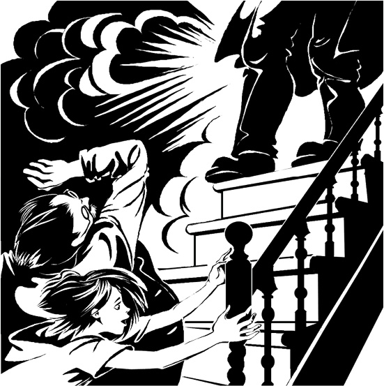 Иллюстрация к книге — Призрак на чердаке  [i_023.jpg]