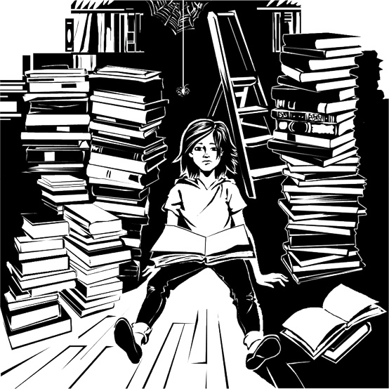 Иллюстрация к книге — Призрак на чердаке  [i_027.jpg]