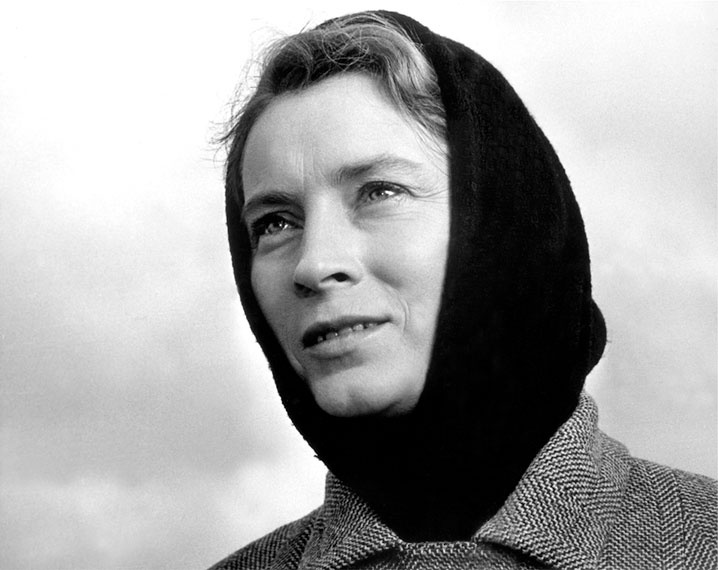 Иллюстрация к книге — Безбилетный пассажир  [i_028.jpg]