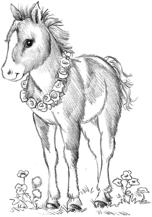 Иллюстрация к книге — Пони Мэйзи, или Подковы для полёта [i_003.jpg]