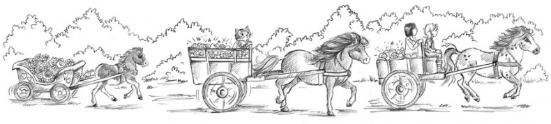 Иллюстрация к книге — Пони Мэйзи, или Подковы для полёта [i_011.jpg]