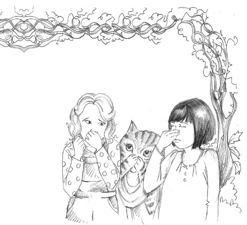 Иллюстрация к книге — Пони Мэйзи, или Подковы для полёта [i_016.jpg]