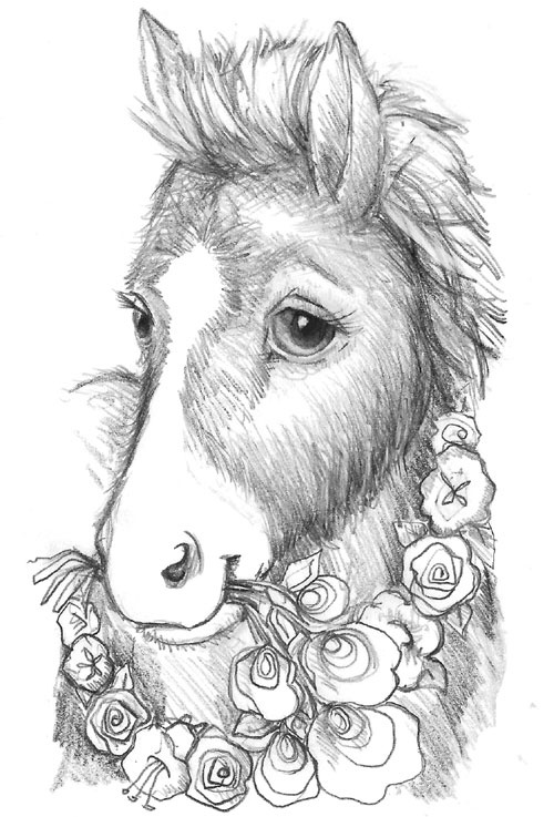 Иллюстрация к книге — Пони Мэйзи, или Подковы для полёта [i_022.jpg]