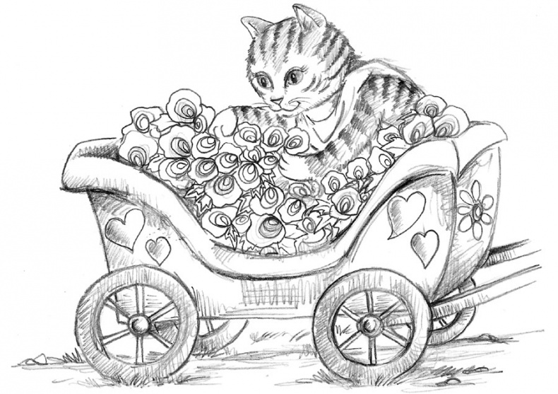 Иллюстрация к книге — Пони Мэйзи, или Подковы для полёта [i_023.jpg]