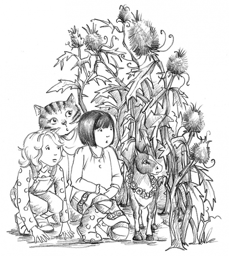 Иллюстрация к книге — Пони Мэйзи, или Подковы для полёта [i_043.jpg]