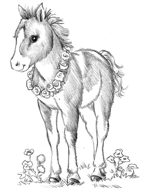 Иллюстрация к книге — Пони Мэйзи, или Подковы для полёта [i_048.jpg]