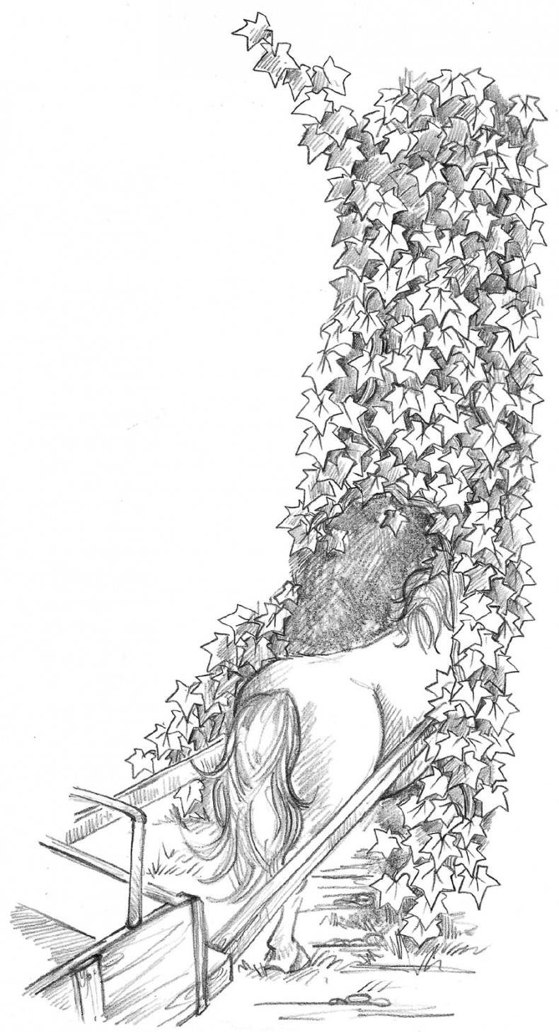 Иллюстрация к книге — Пони Мэйзи, или Подковы для полёта [i_055.jpg]