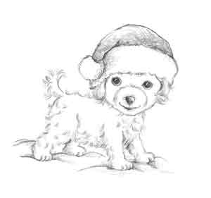 Иллюстрация к книге — Щенок Холли, или Туфли для ведьмы [block_00119211.jpg_3.jpg]