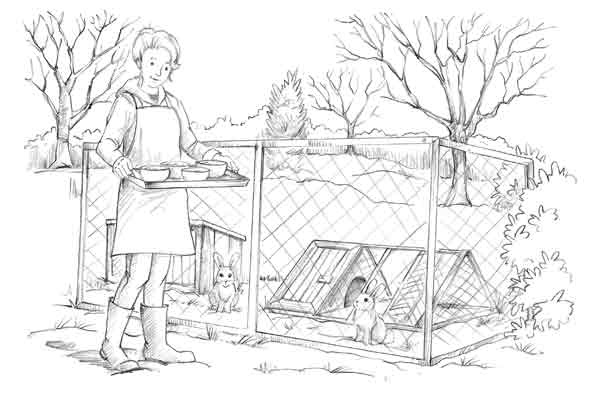 Иллюстрация к книге — Щенок Холли, или Туфли для ведьмы [block_00119212.jpg]