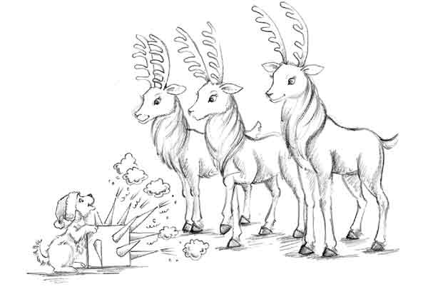 Иллюстрация к книге — Щенок Холли, или Туфли для ведьмы [block_001192155.jpg]